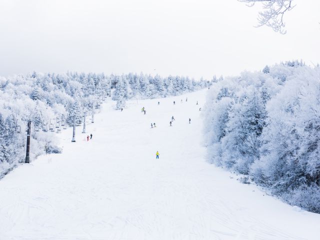 あなたはまだ損してるかも日帰りスキーツアーが知られざるコスパ革命である理由