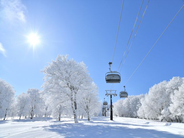 手軽に雪山リフレッシュを満喫する日帰りスノボツアー体験徹底ガイド